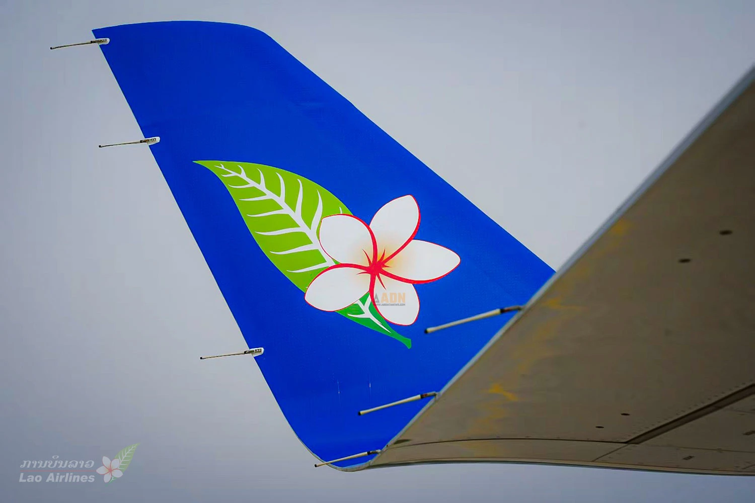 Winglet do C909 com a flor que é o logo da Lao Airlines (COMAc)