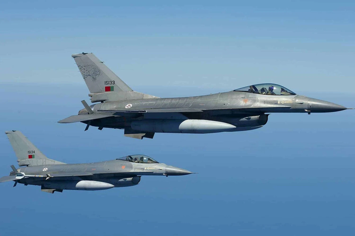 Ca&ccedil;as F-16 de Portugal (FAP)