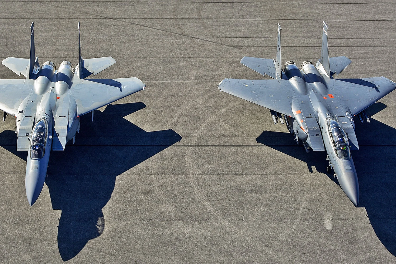 O F-15EX (esquerda) ao lado de um F-15E (USAF)