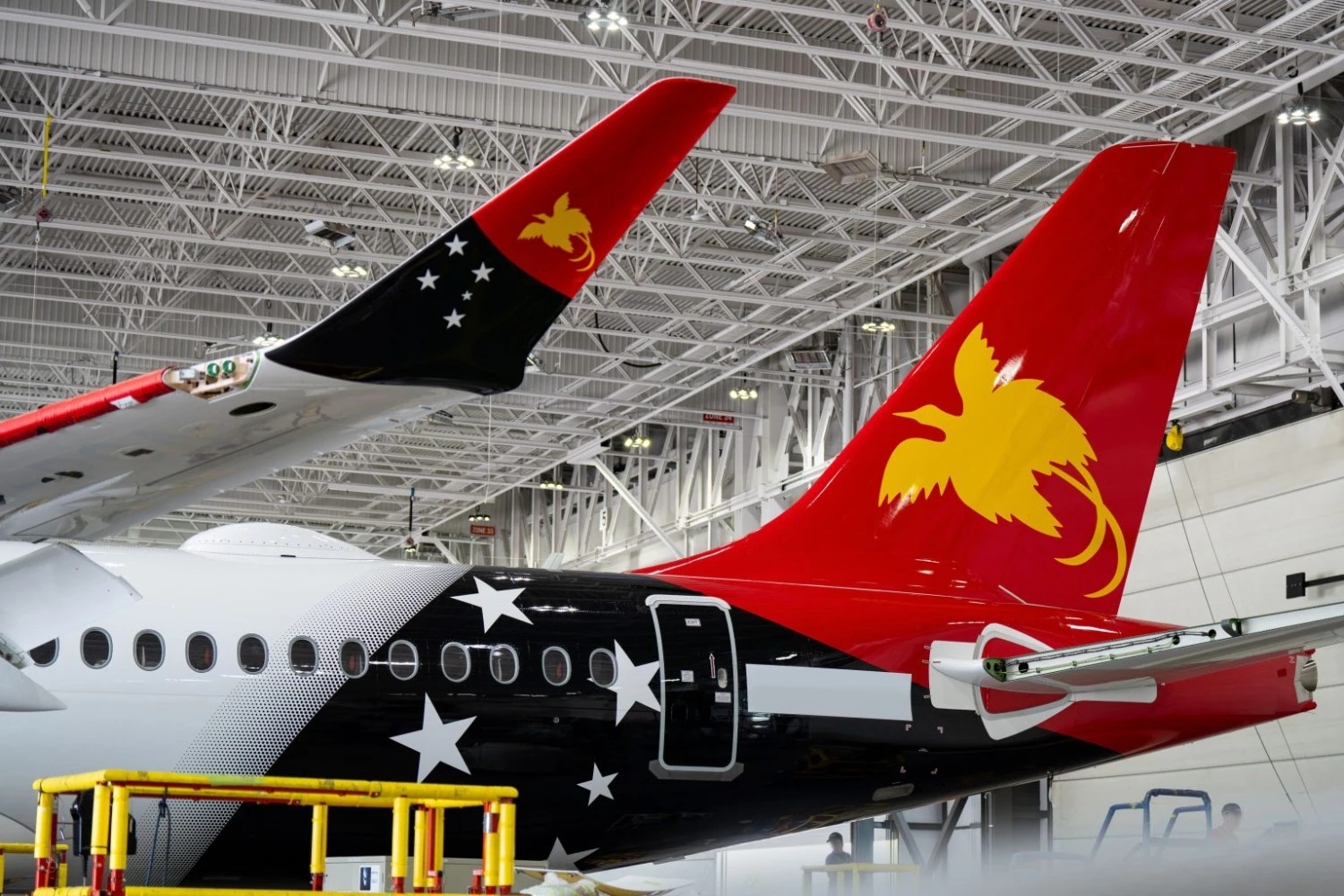 Cauda traz pintura comemorativa (Air Niugini)