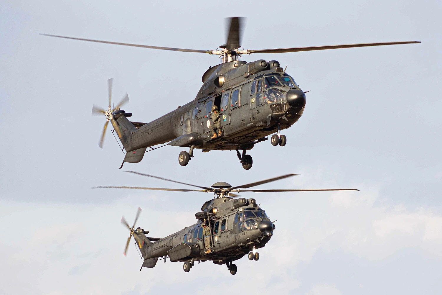 Helic&oacute;pteros HM-3 Cougar