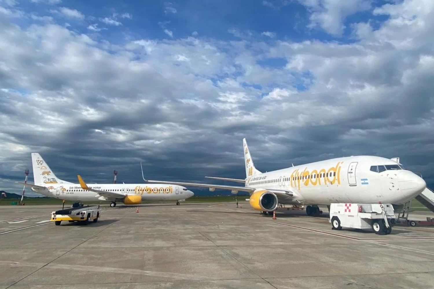 Flybondi opera com três jatos em meio à crise financeira se agravando