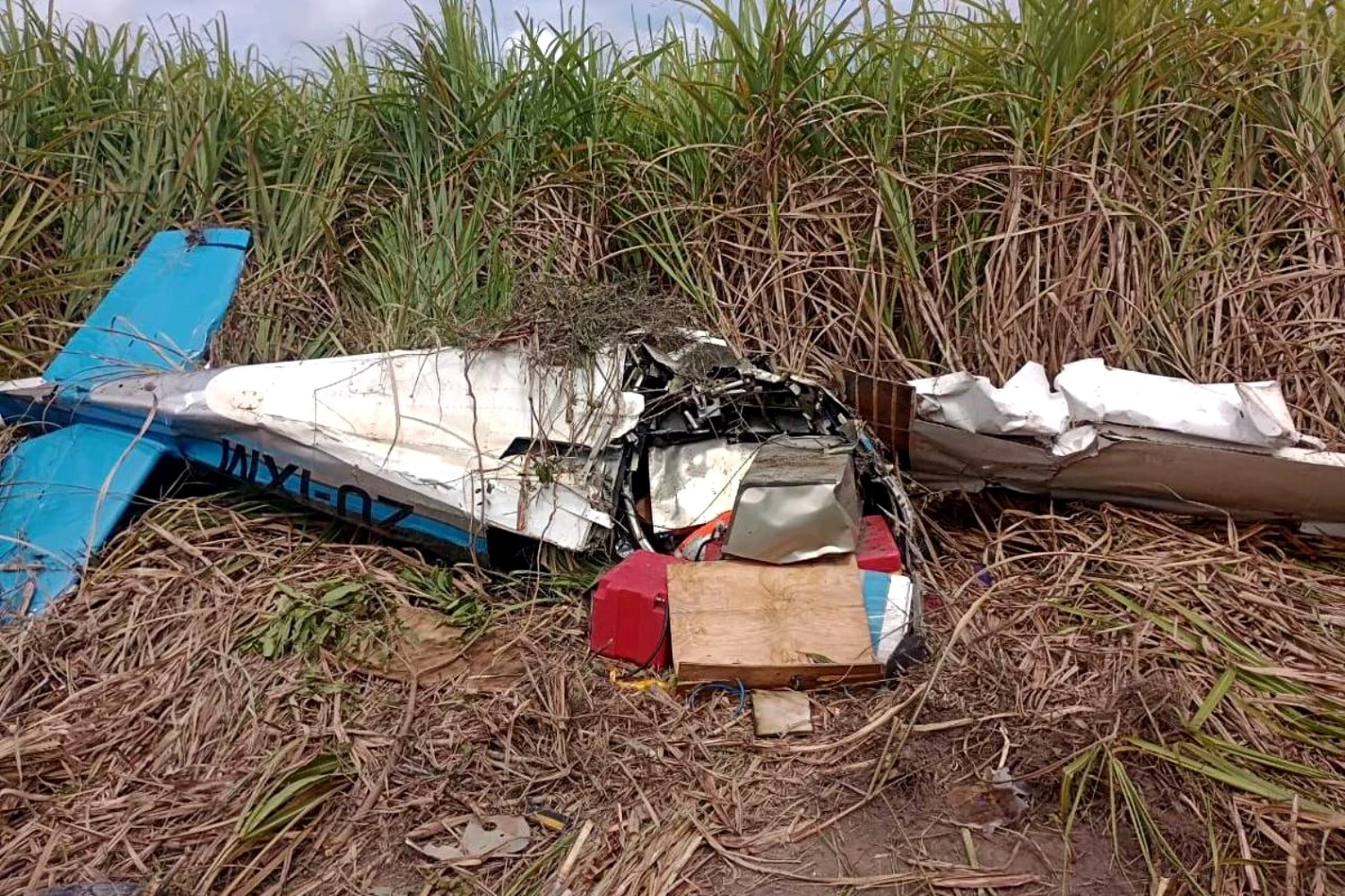 O avião de matrícula sul-africana que caiu num canavial (Polícia Militar de Alagoas)