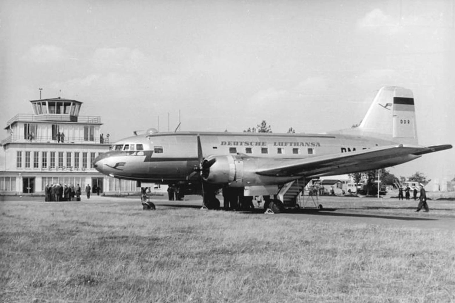 IL-14