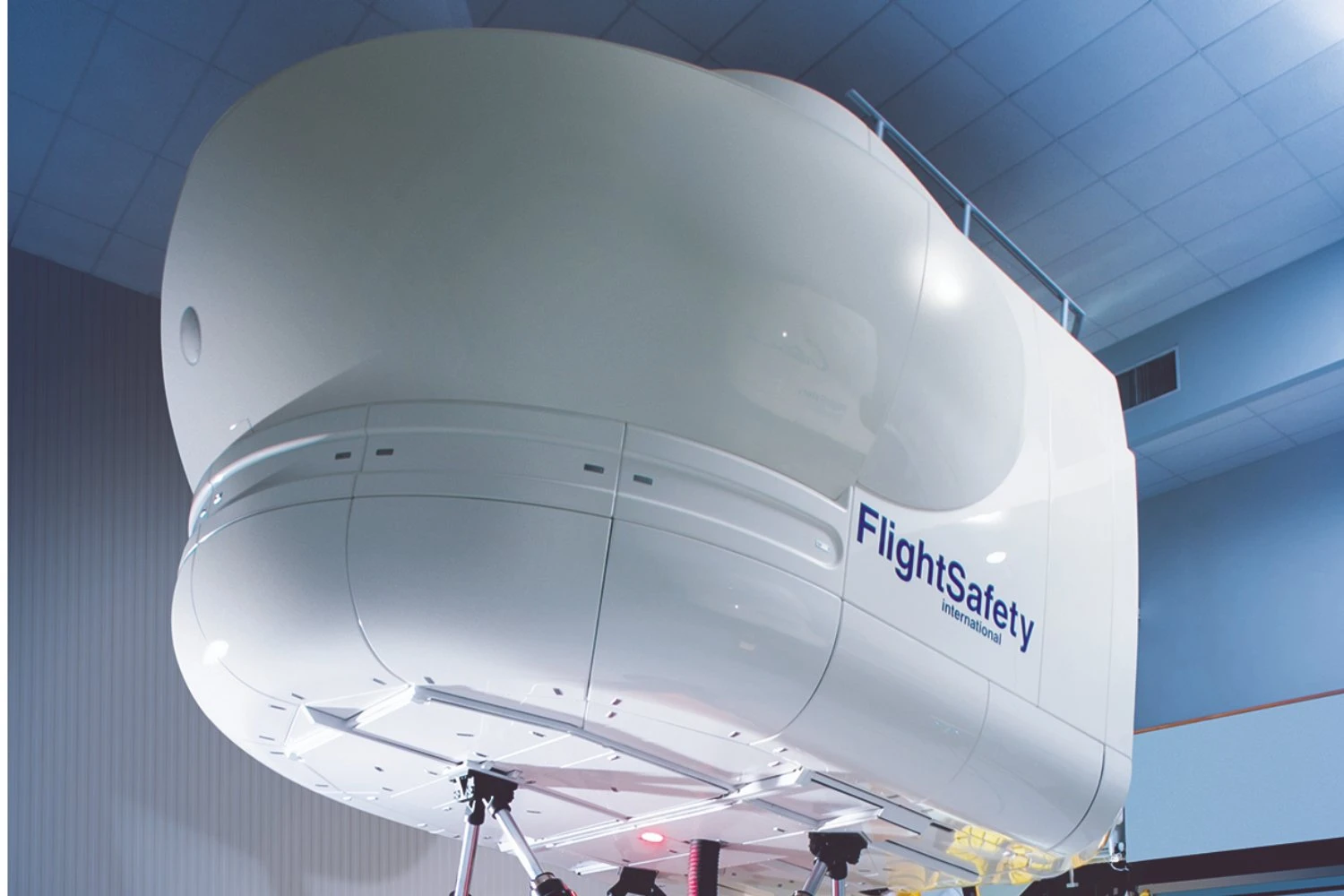 FS 1000 flight simulator